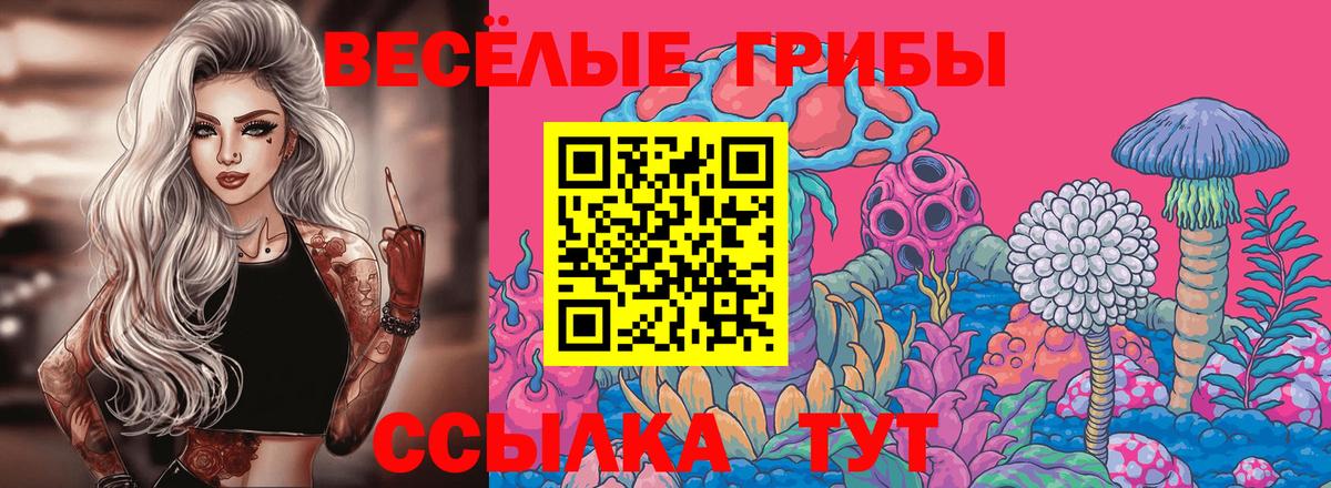 Псилоцибиновые грибы ЛСД Североморск