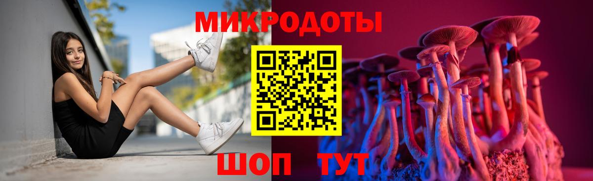 Псилоцибиновые грибы MAGIC MUSHROOMS  Галлюциногенные грибы мицелий  Вход с VPN  Североморск 
